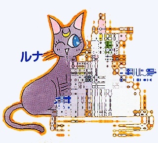 Mondkatze